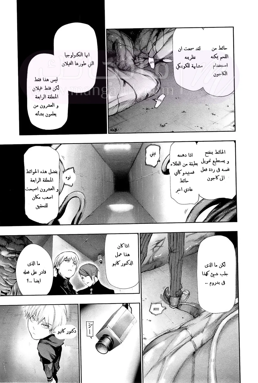الصفحة 17