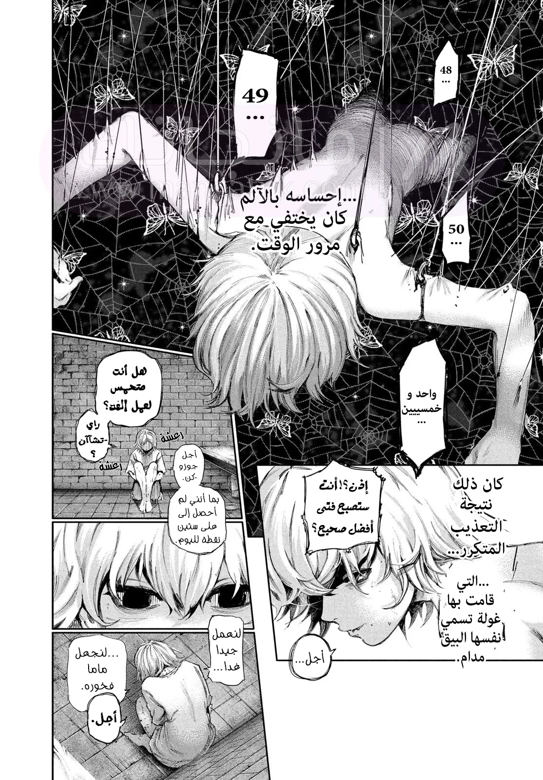 الصفحة 8