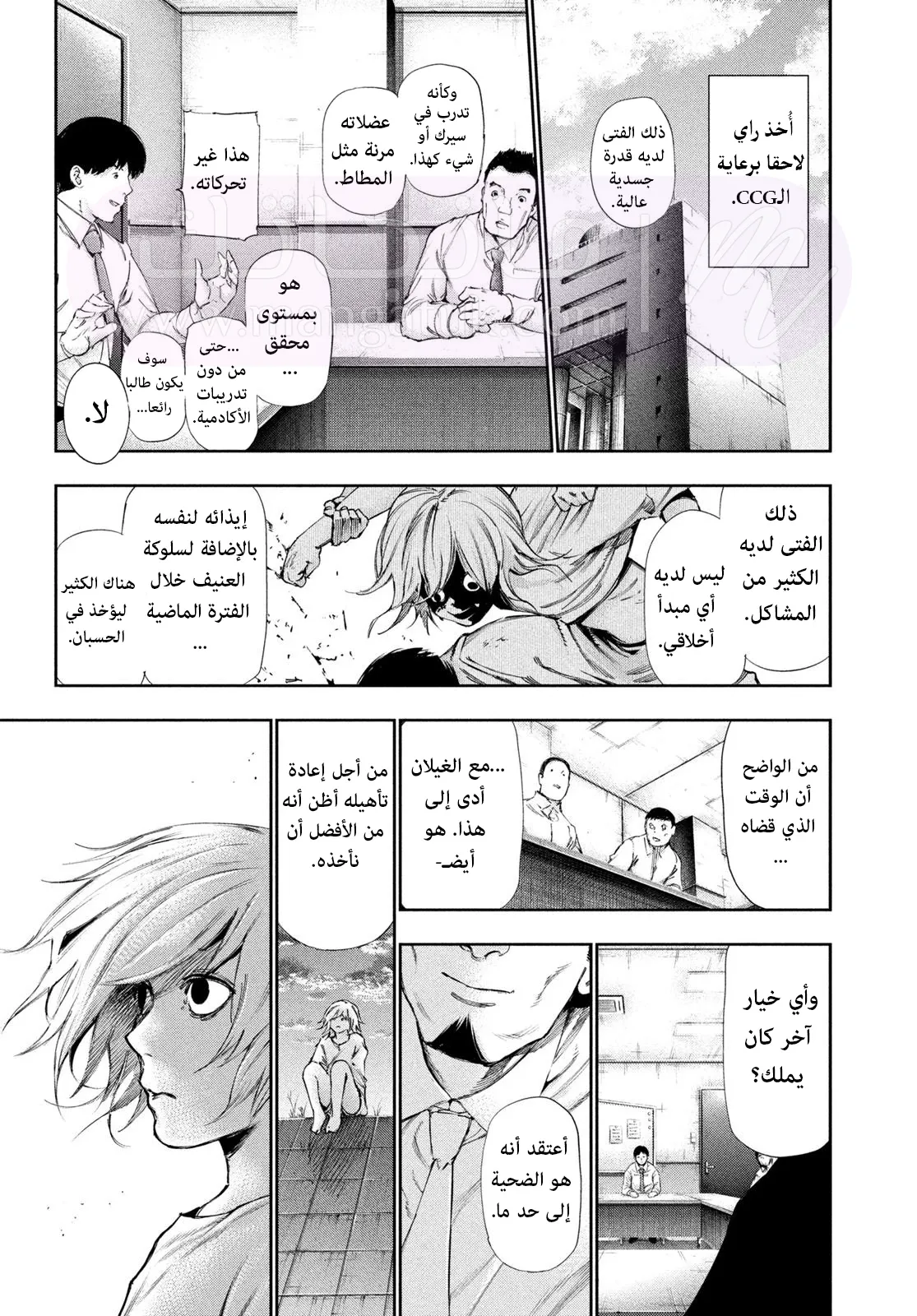 الصفحة 13