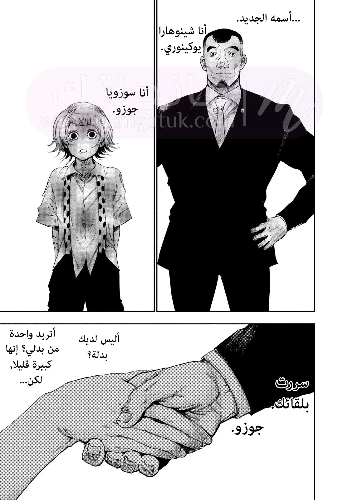 الصفحة 17