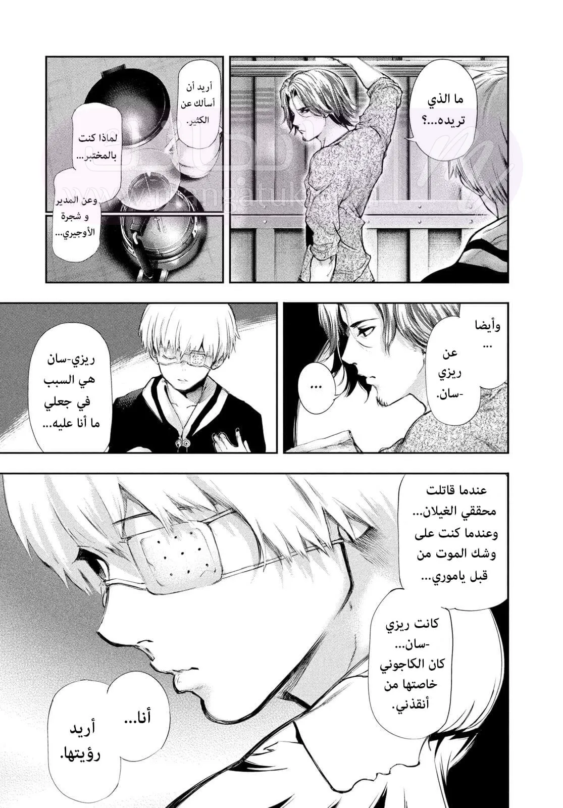 الصفحة 14