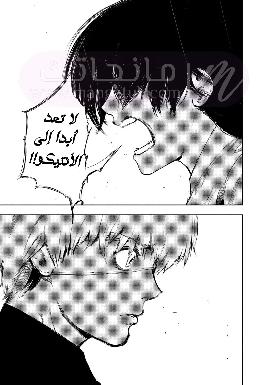 الصفحة 13