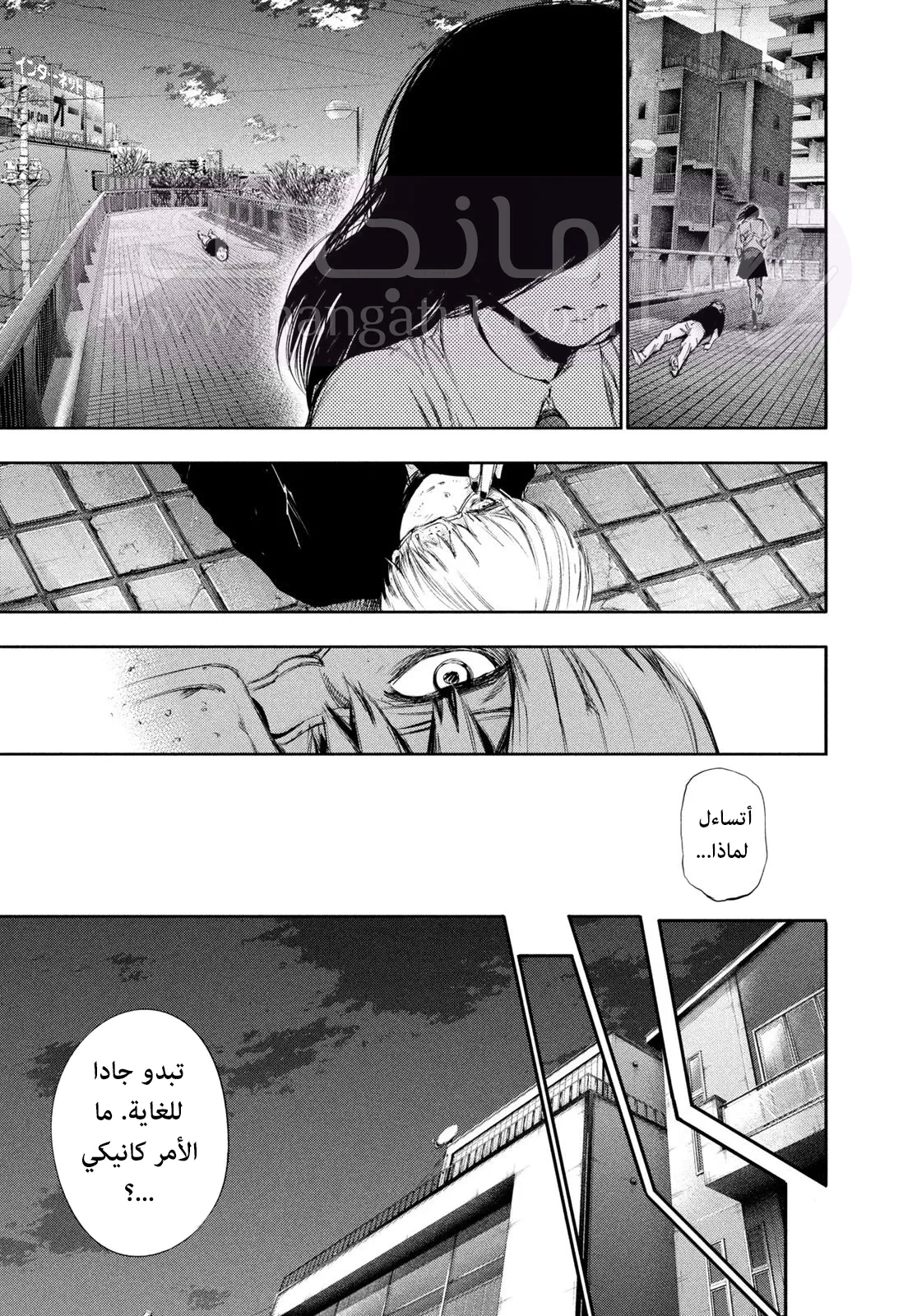الصفحة 16