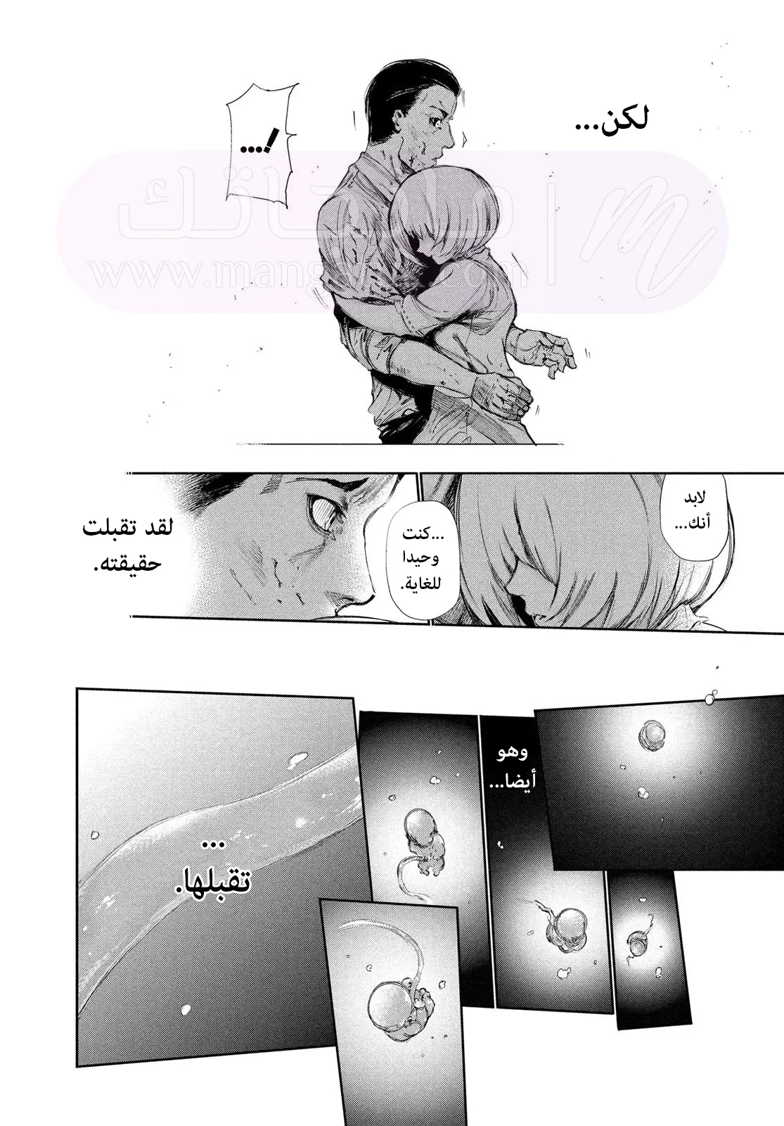 الصفحة 8