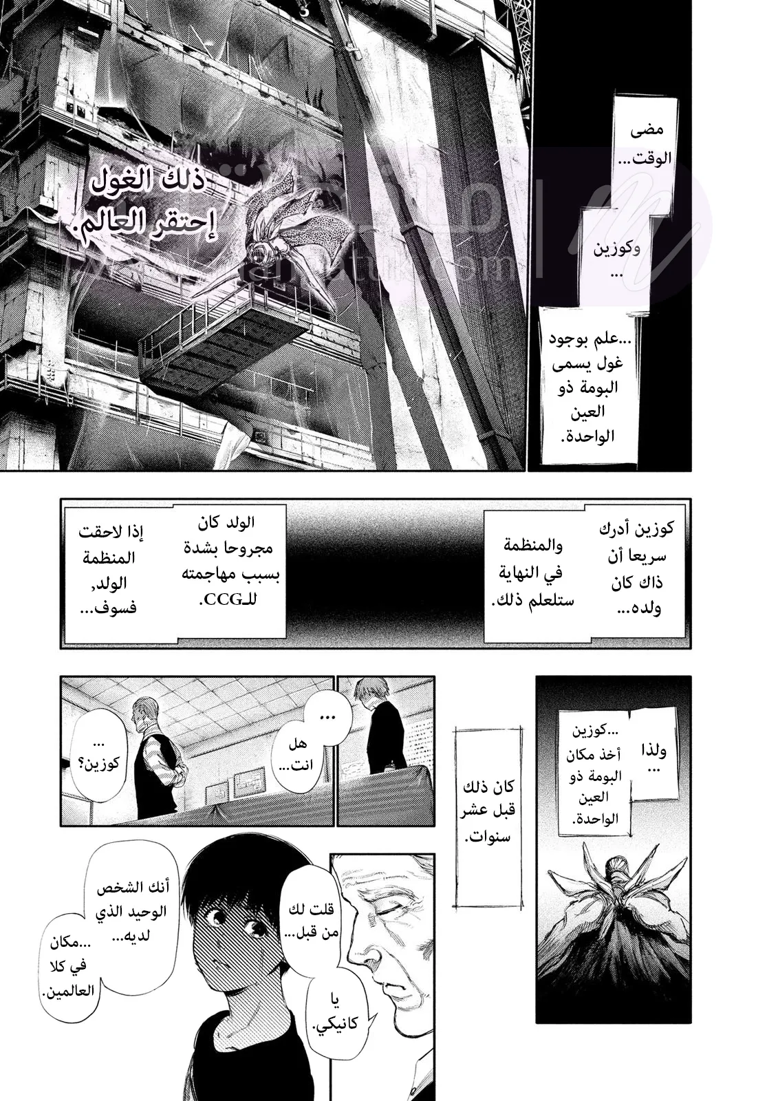 الصفحة 13