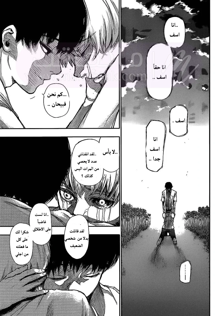 الصفحة 12