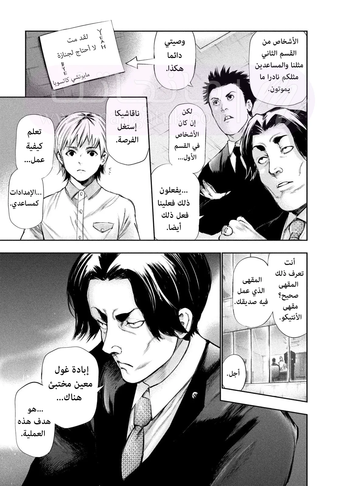 الصفحة 11