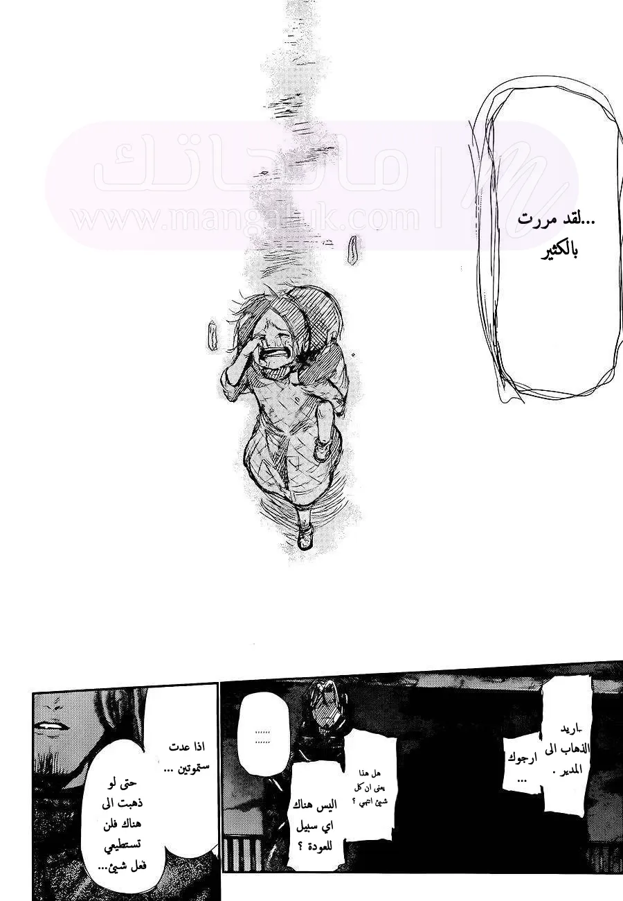 الصفحة 14