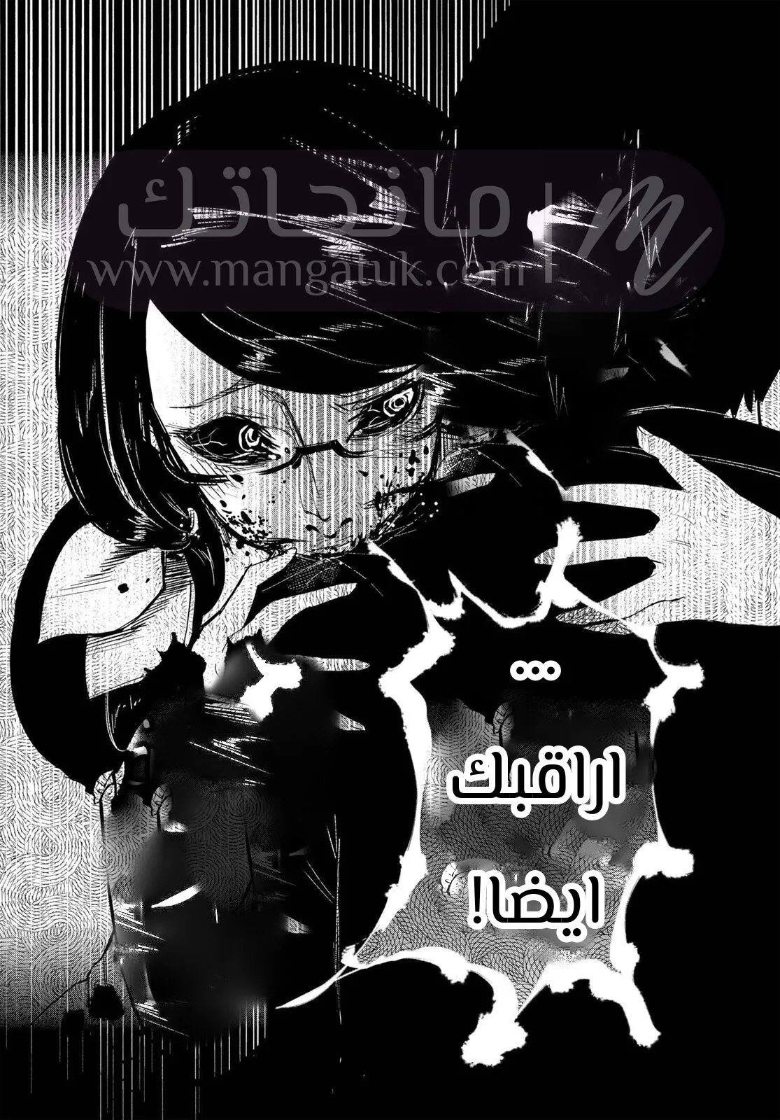 الصفحة 27
