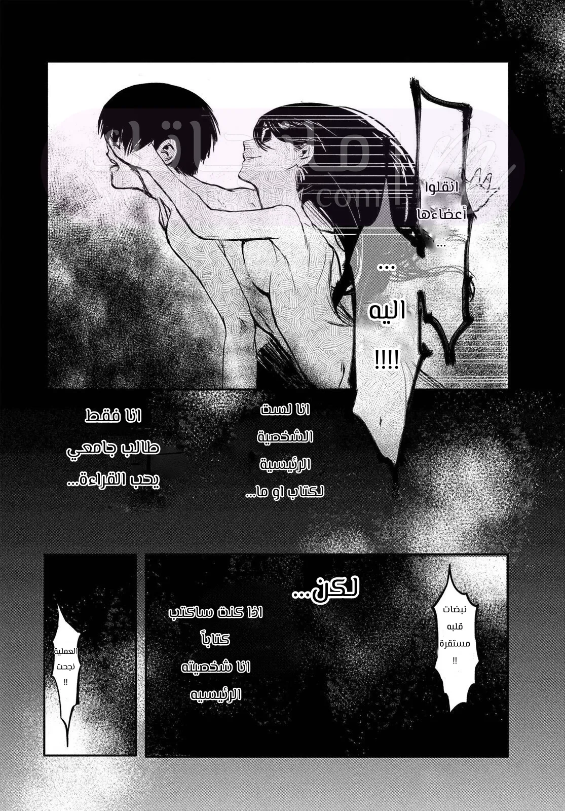 الصفحة 41