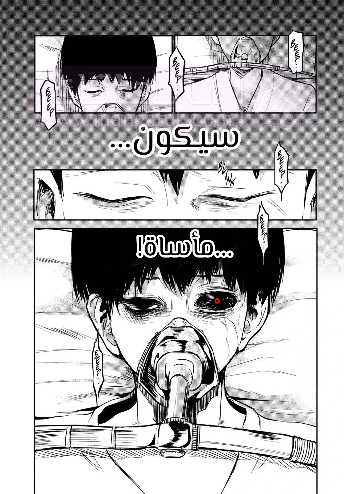 الصفحة 42