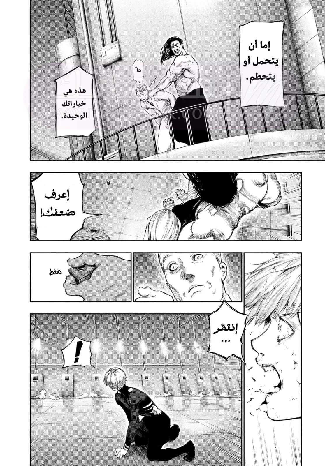الصفحة 3