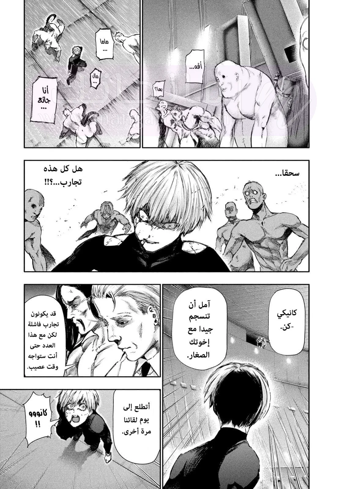 الصفحة 4