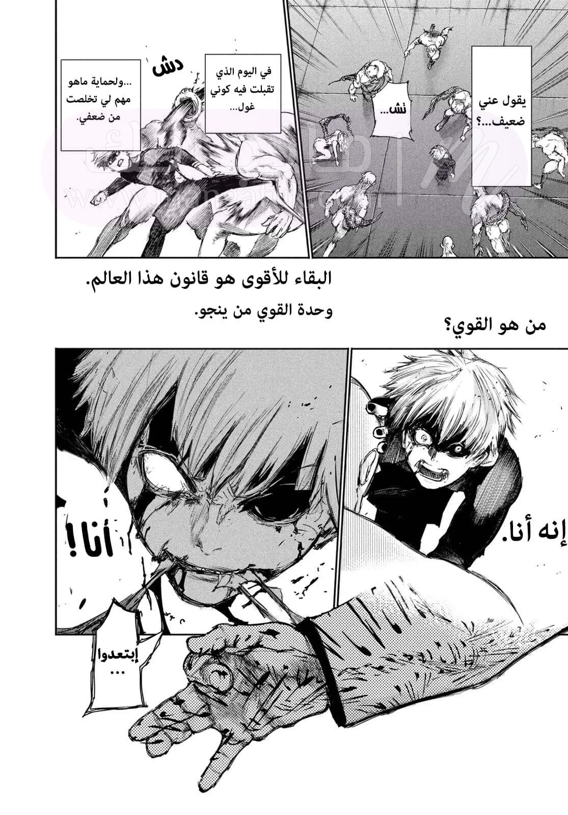 الصفحة 5