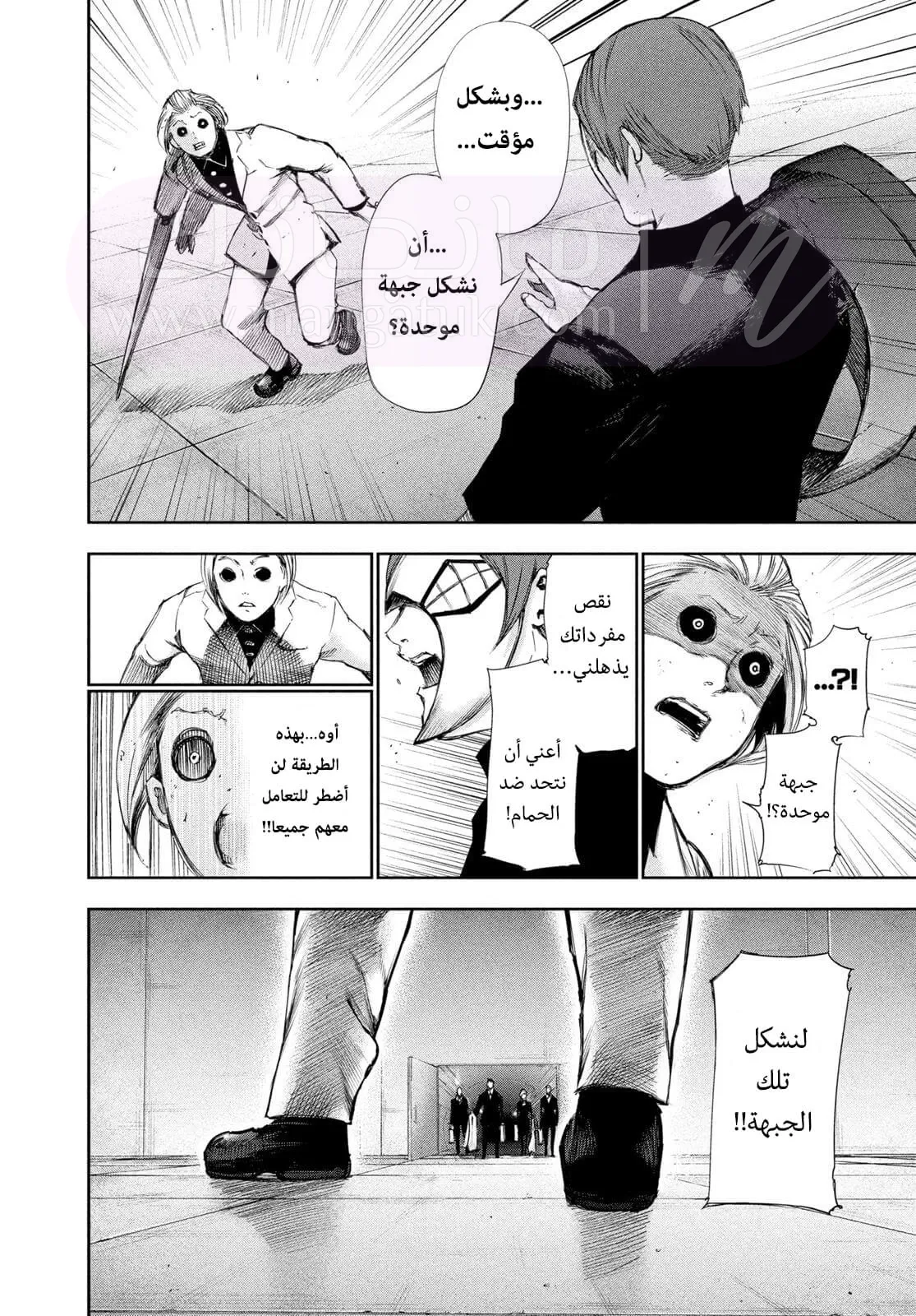 الصفحة 13
