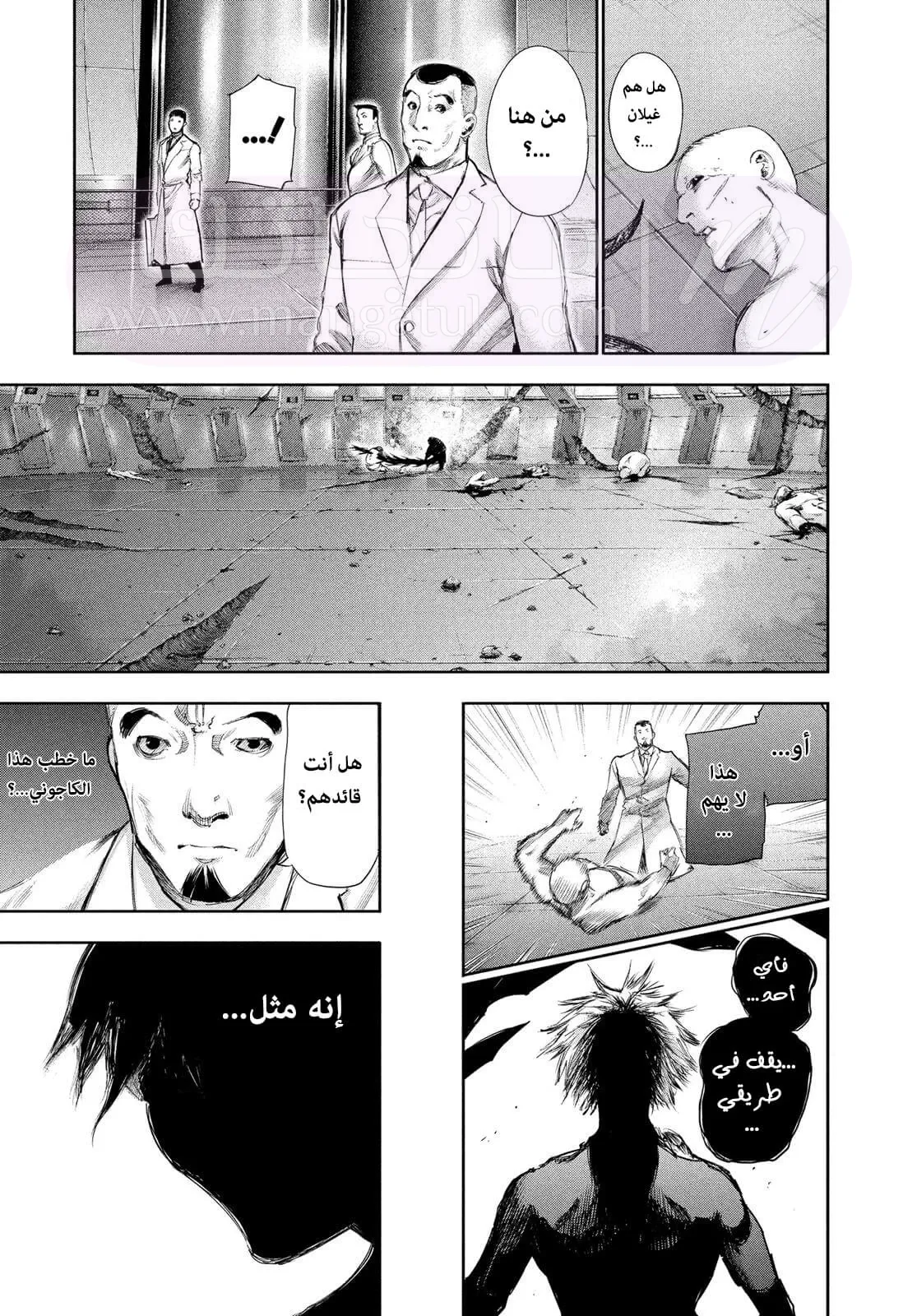 الصفحة 16