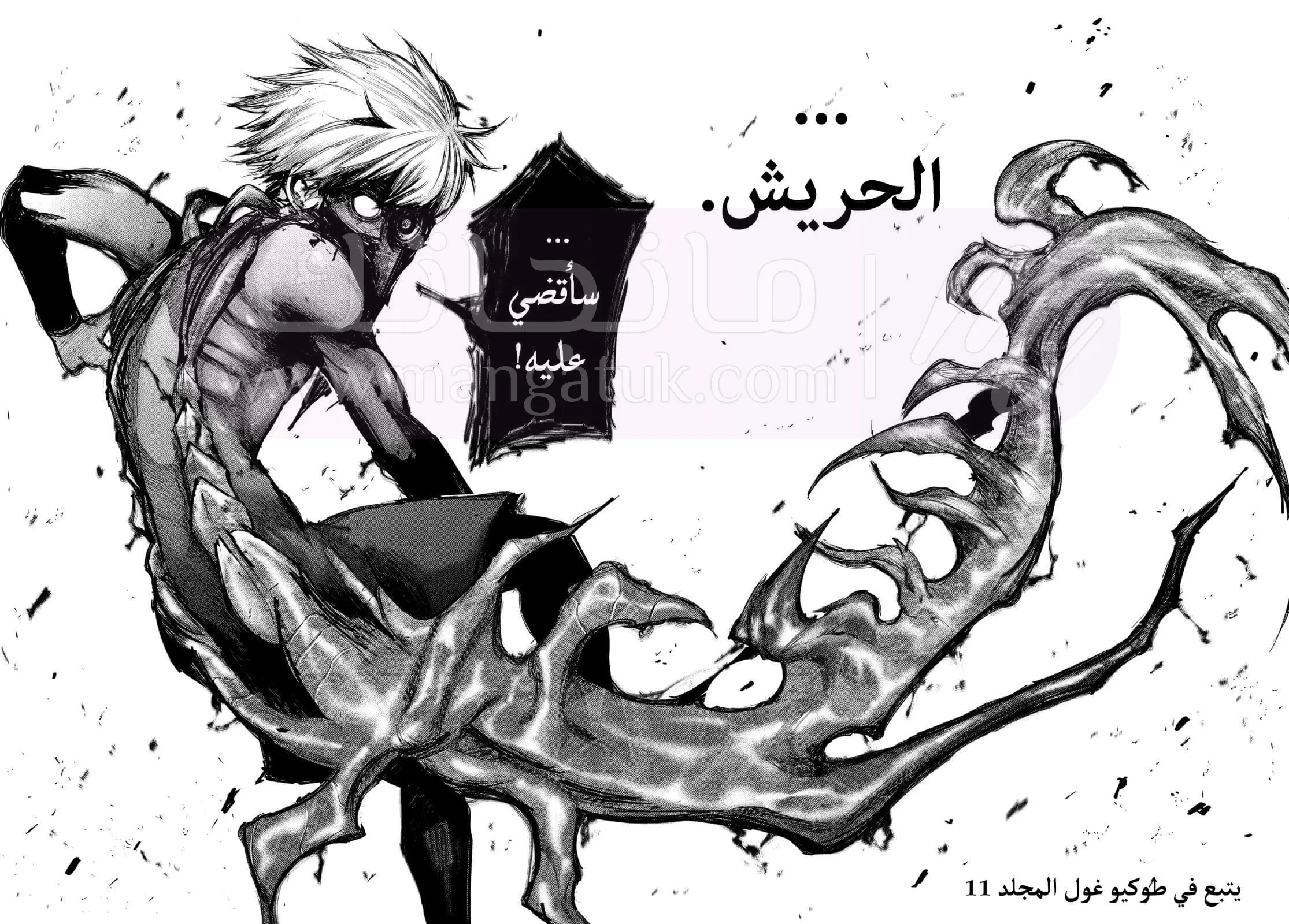 الصفحة 17