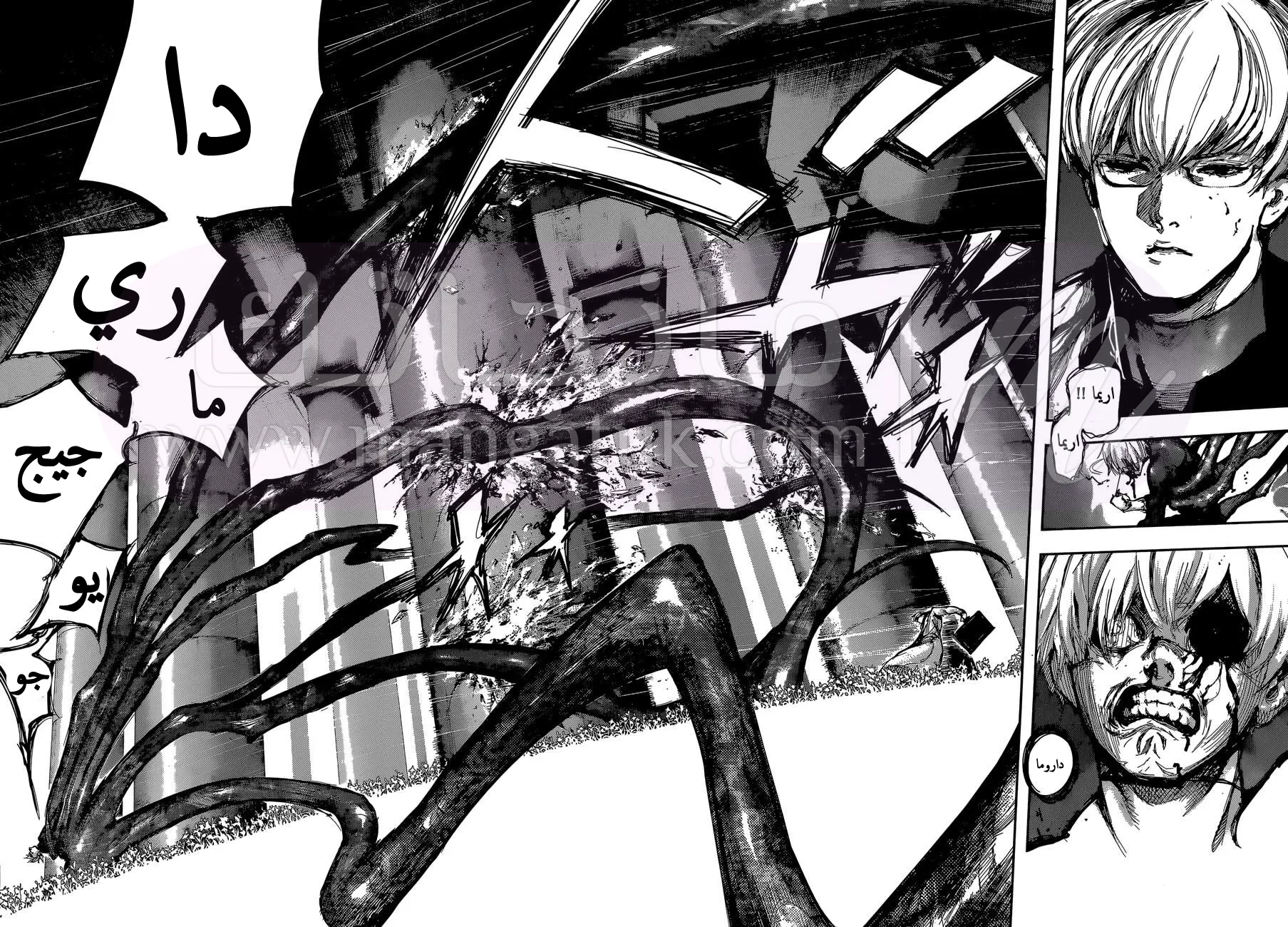 الصفحة 5