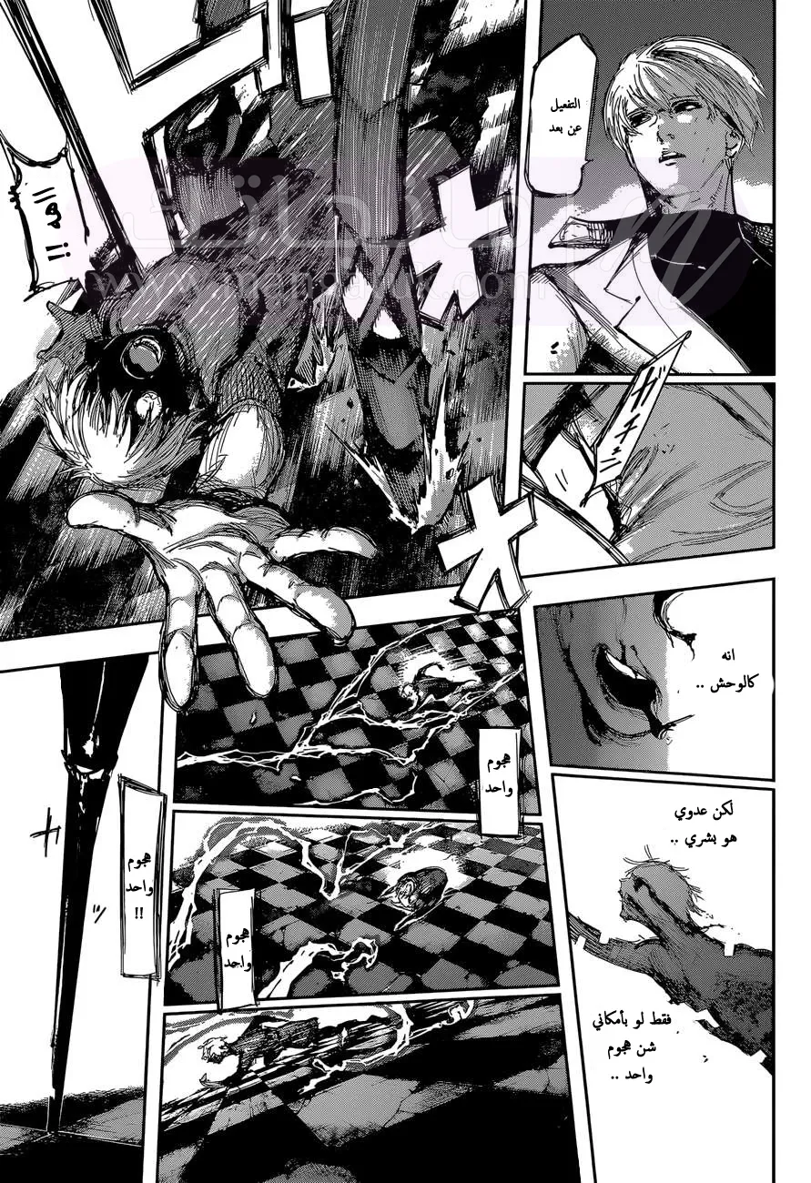الصفحة 13