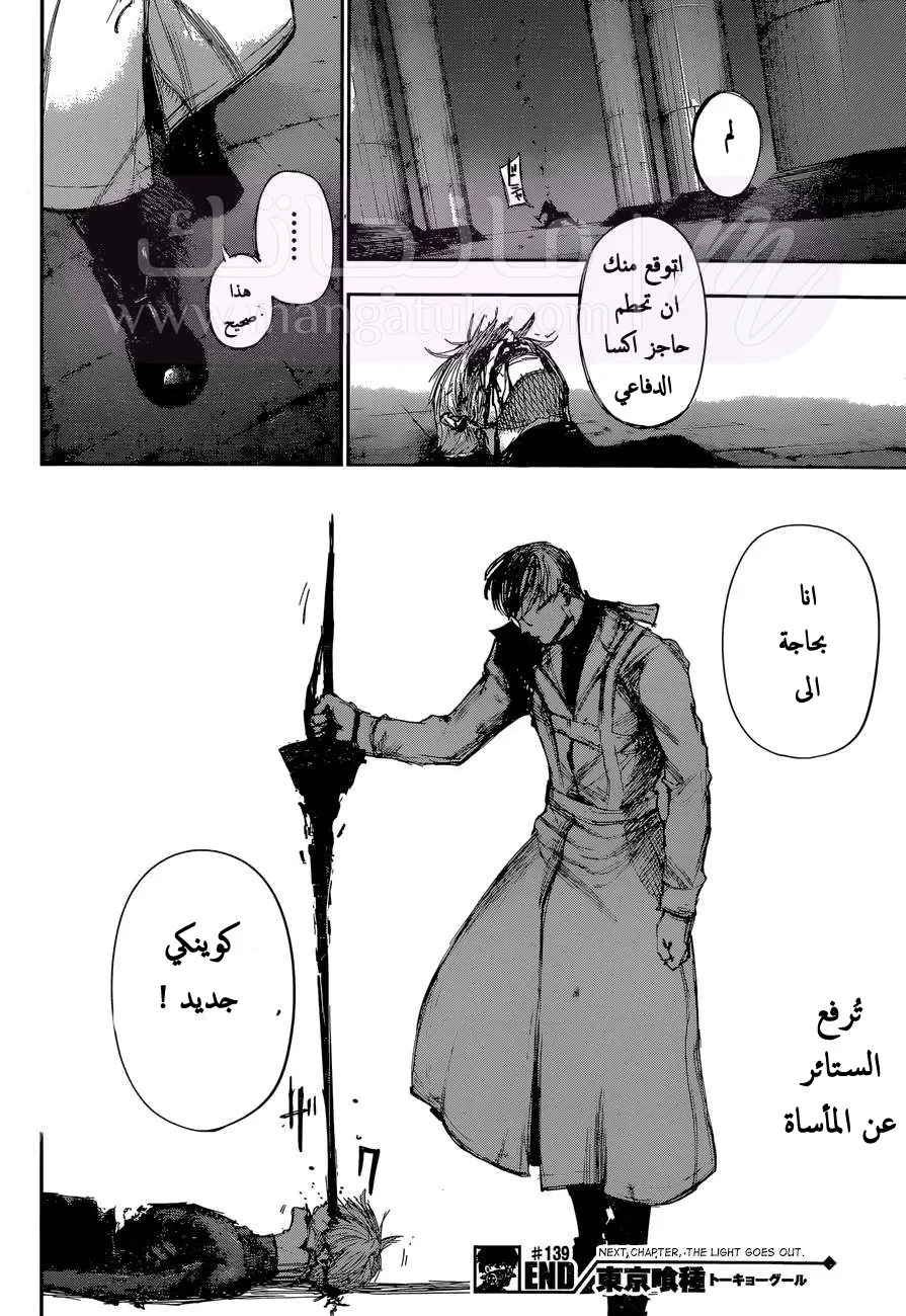 الصفحة 17