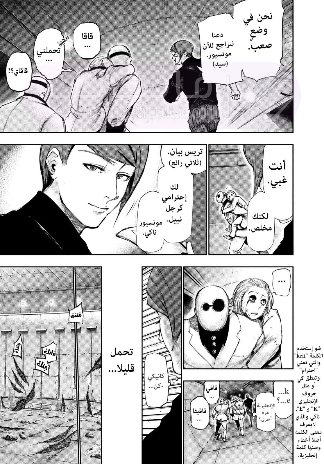 الصفحة 13