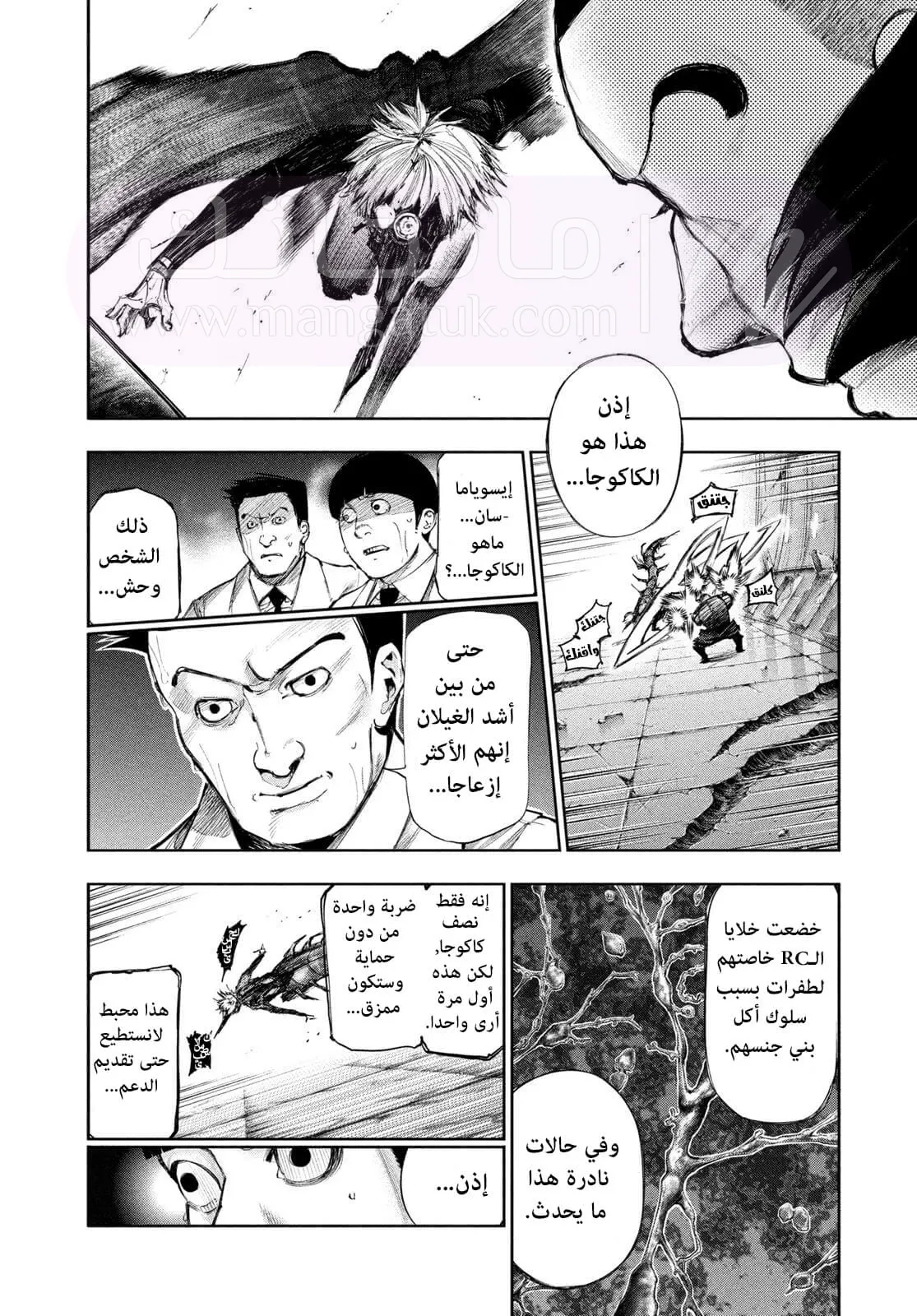 الصفحة 14