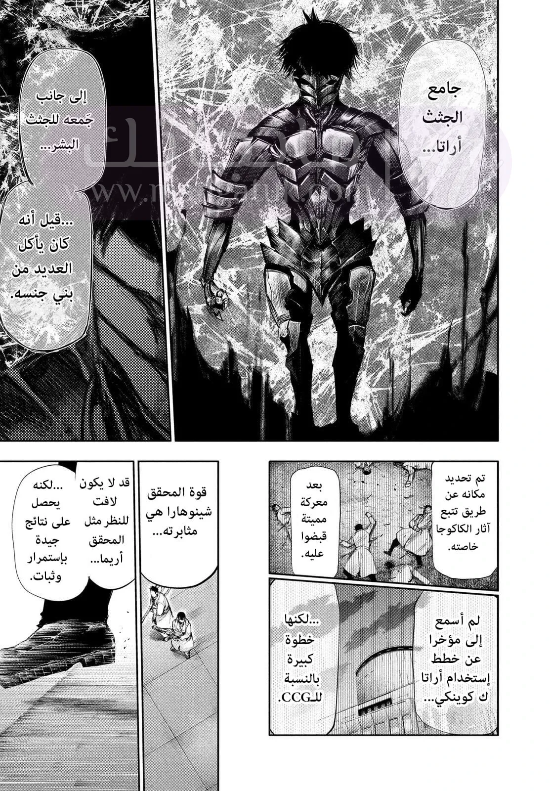 الصفحة 17