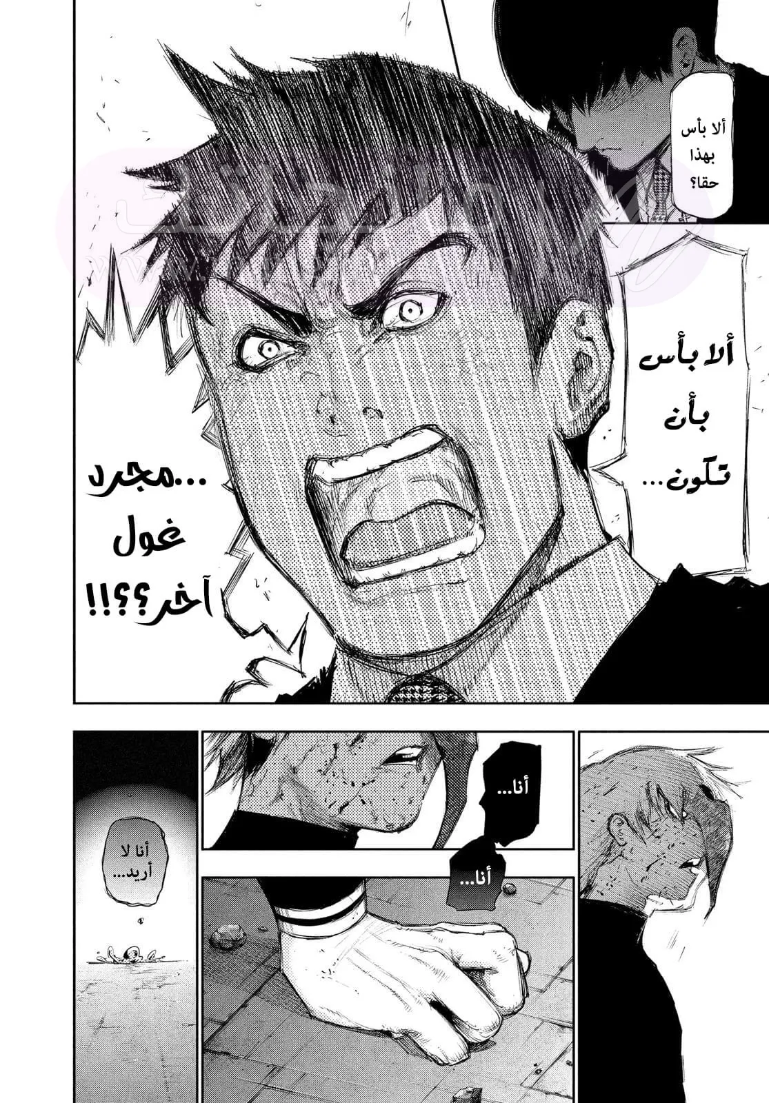 الصفحة 14