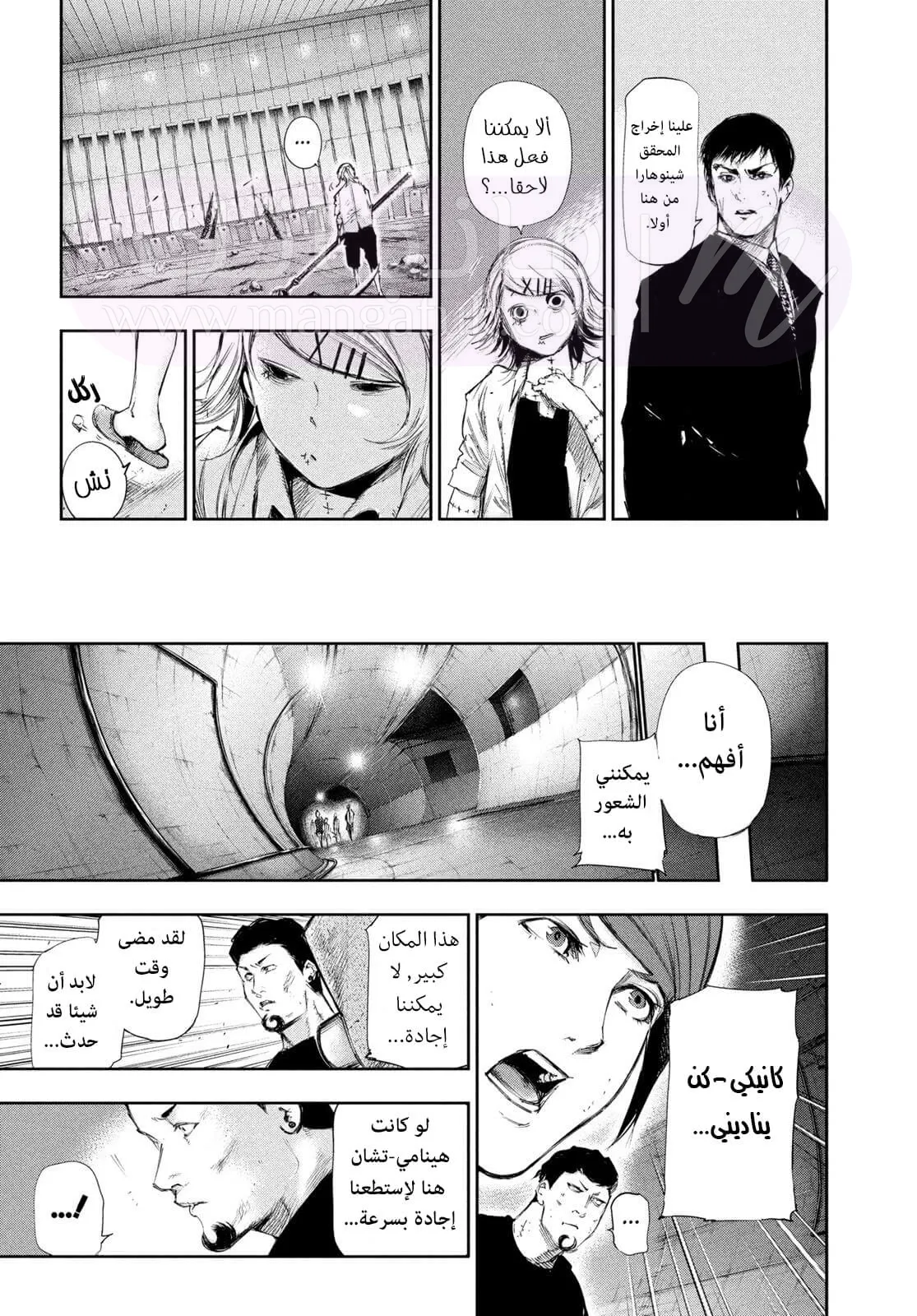 الصفحة 17