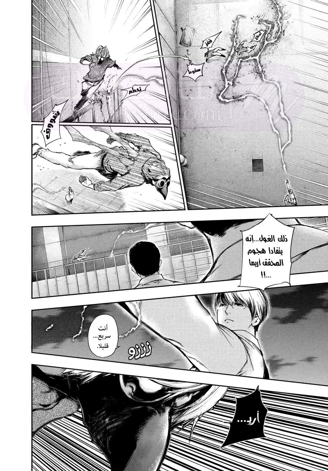 الصفحة 6