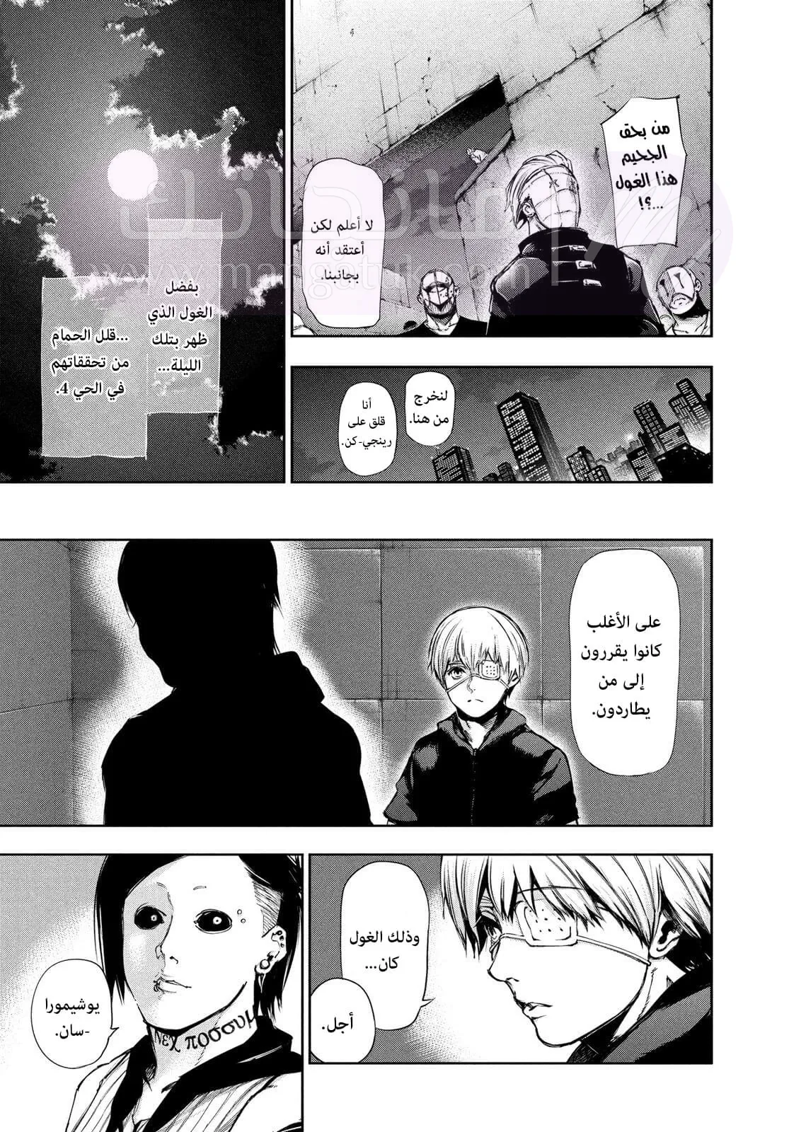 الصفحة 13