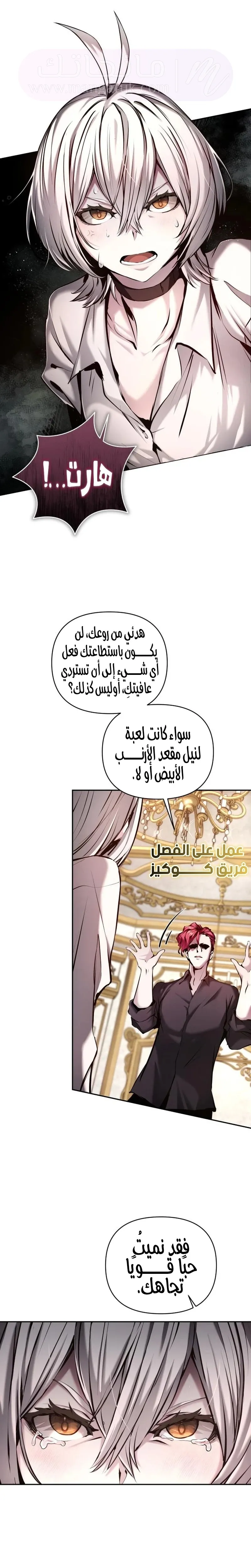 الصفحة 5