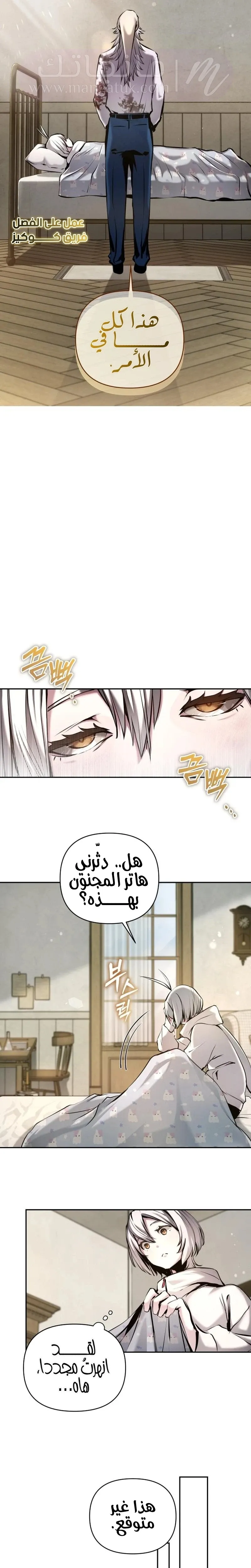الصفحة 17