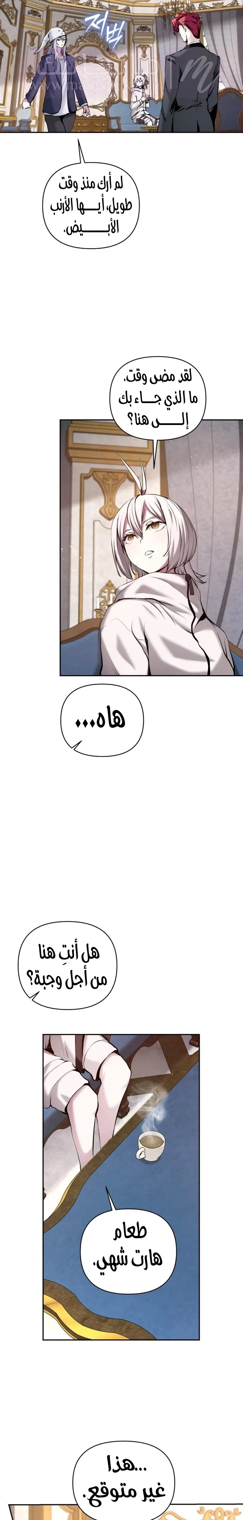 الصفحة 11