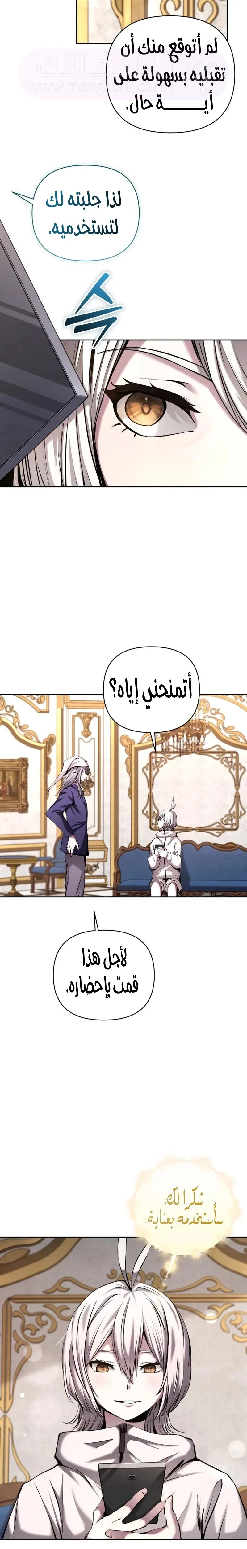 الصفحة 17