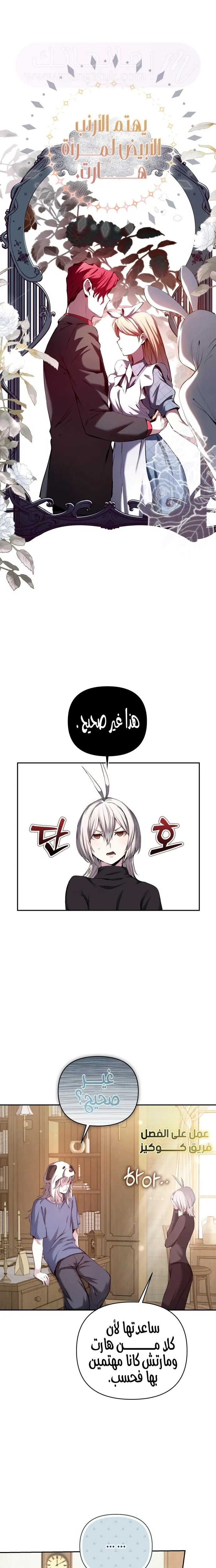 الصفحة 15