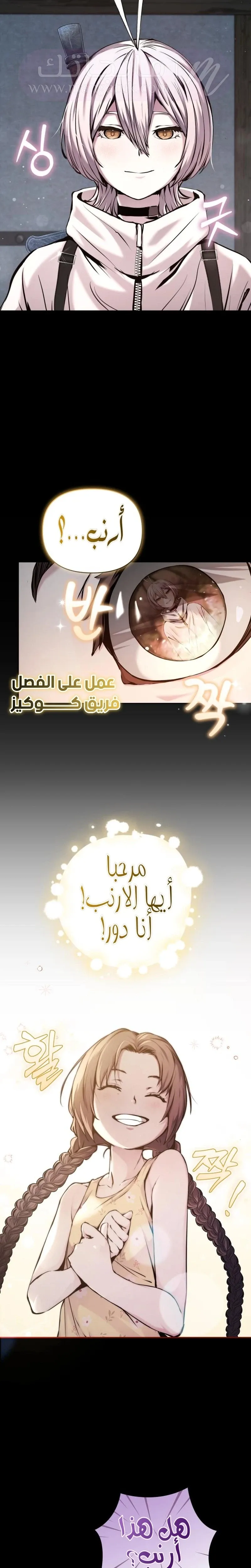 الصفحة 17