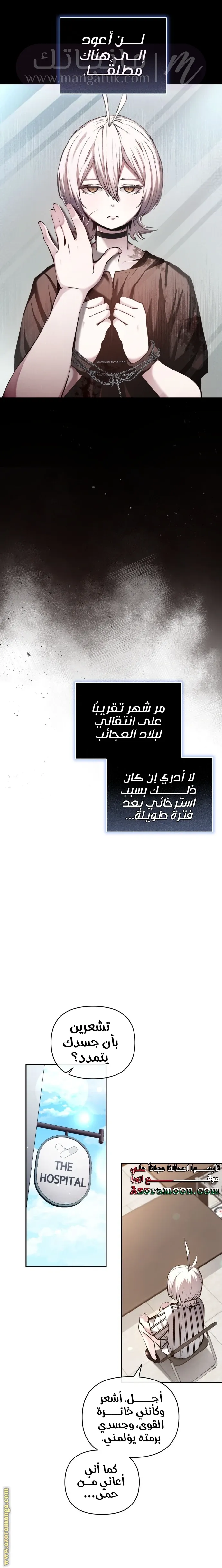 الصفحة 13
