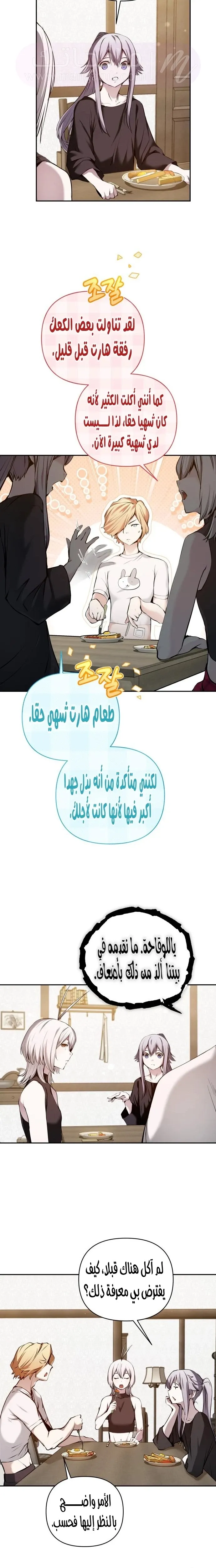 الصفحة 13
