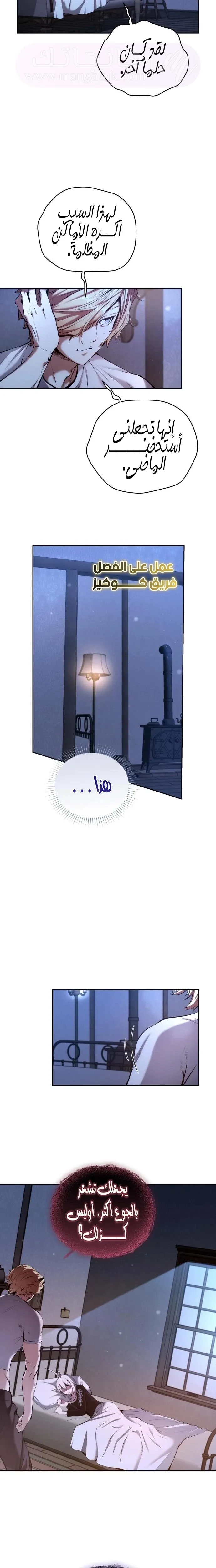 الصفحة 17