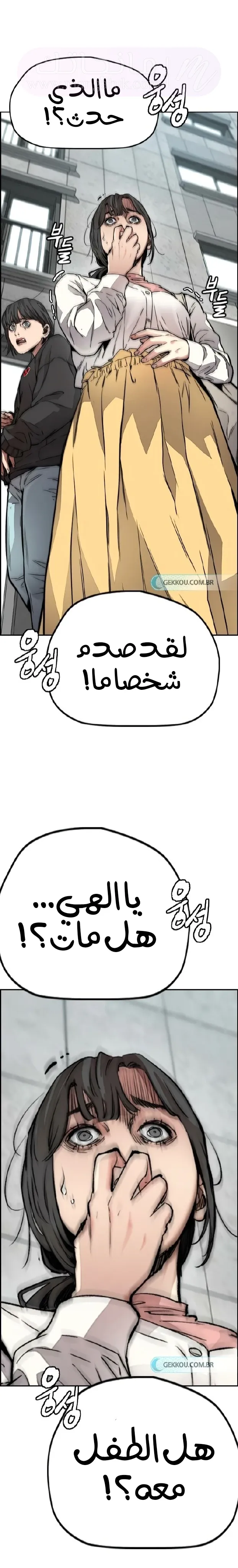 الصفحة 29