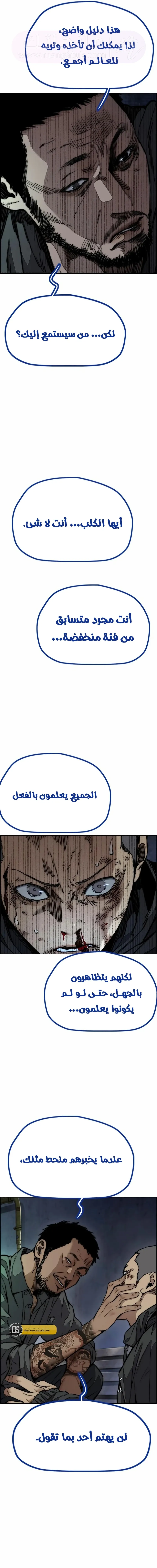 الصفحة 14