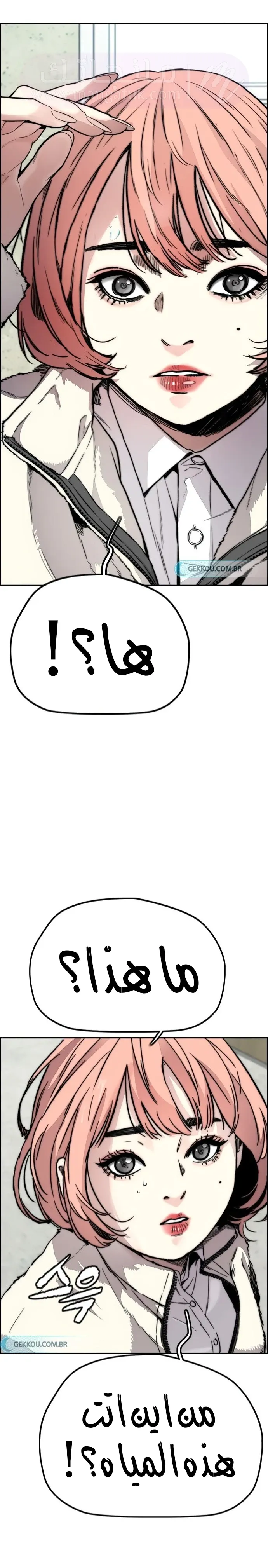 الصفحة 33