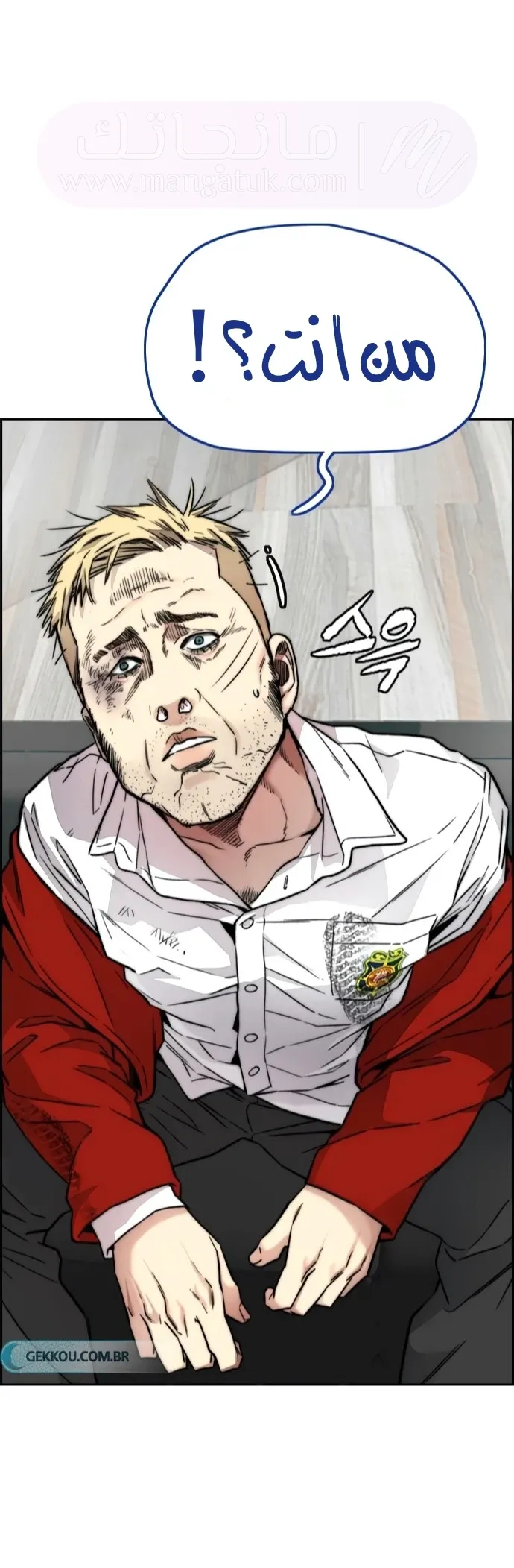 الصفحة 42