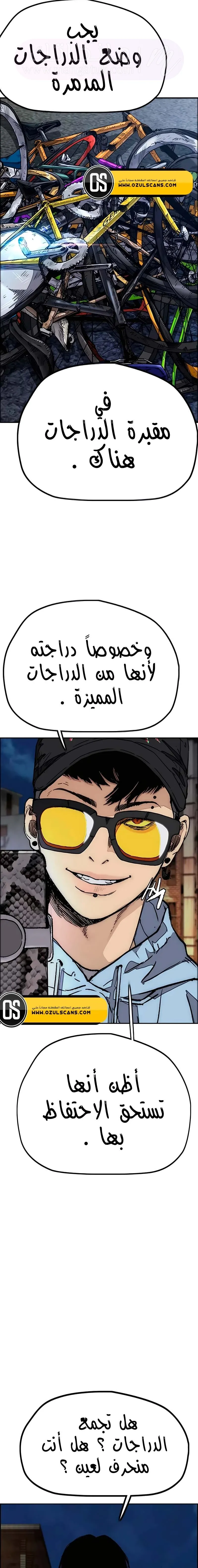 الصفحة 17