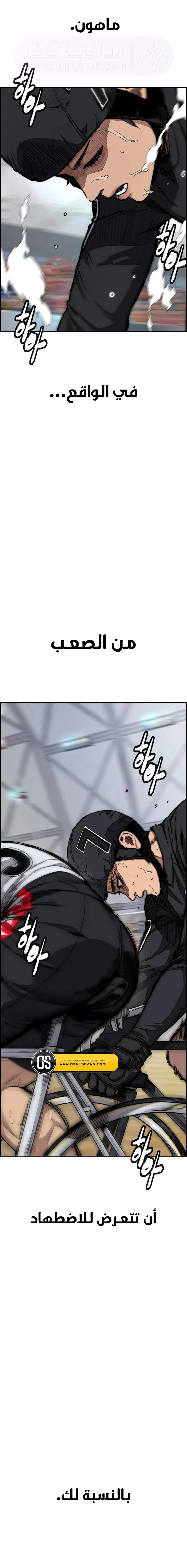 الصفحة 13