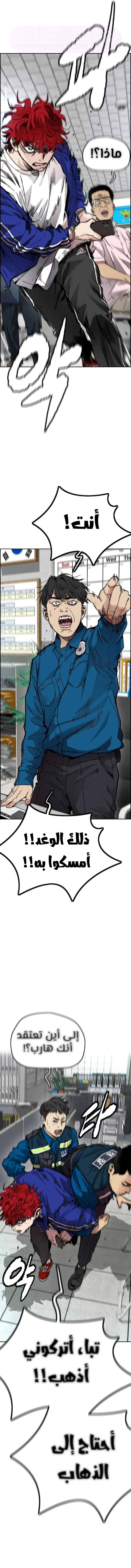 الصفحة 13