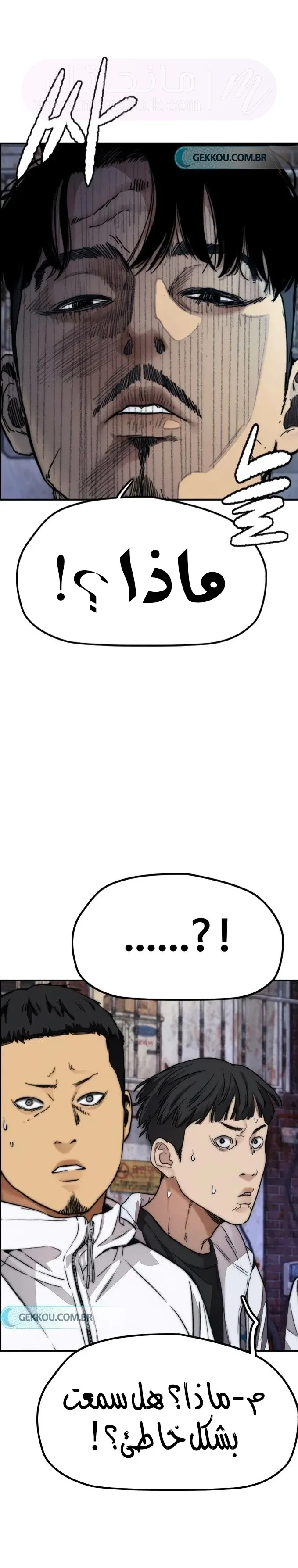 الصفحة 27