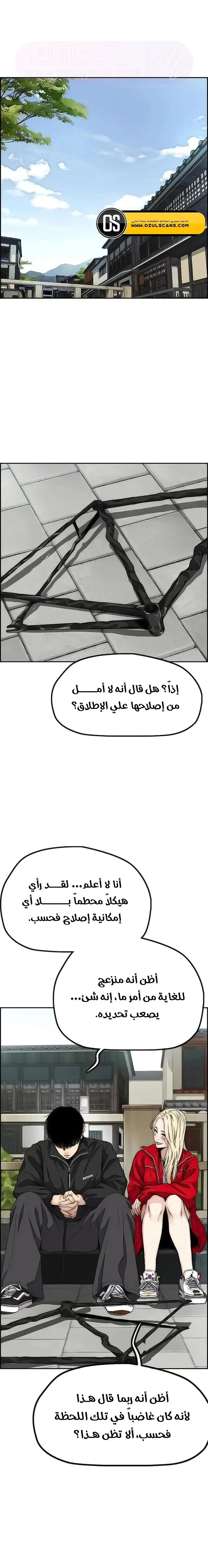 الصفحة 17