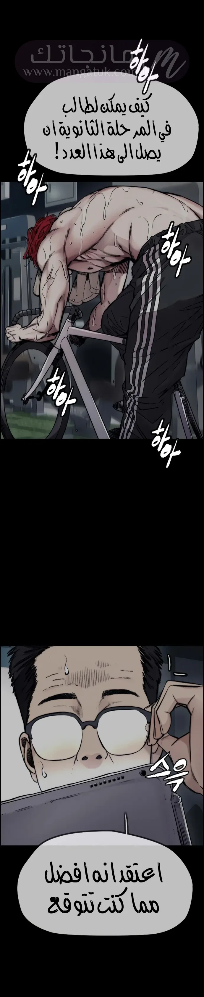 الصفحة 17